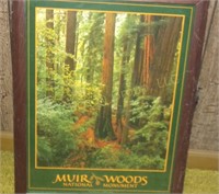 Muir Woods National Monument Wall Hanging