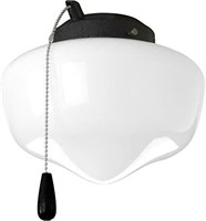 AirPro 1-Light Forged Black Ceiling Fan Light