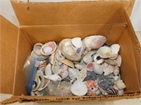 Box Full of Sea Shells
