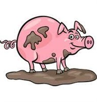 1/2 Butcher Hog Processed