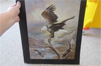 Metal Sign - Eagle