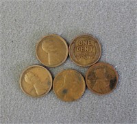 5 Early 1900s Lincoln Pennies