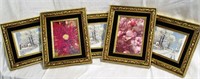 Lot of 5 Decorative Flower/Landscape Prints