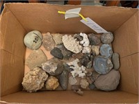 BOX OF MISC SHELLS AND ROCKS