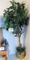 Faux ficus tree in brass planter, 74" tall