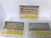 (3) 1958 Topps Team Cards- #158,#216,#312