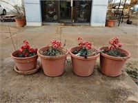 4 Flower Pots