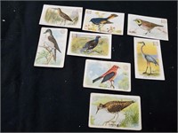 8 dif vintage bird cards-1910's?