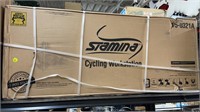 STAMINA 2IN1 RECUMBENT CYCLING WORKSTATION & DESK