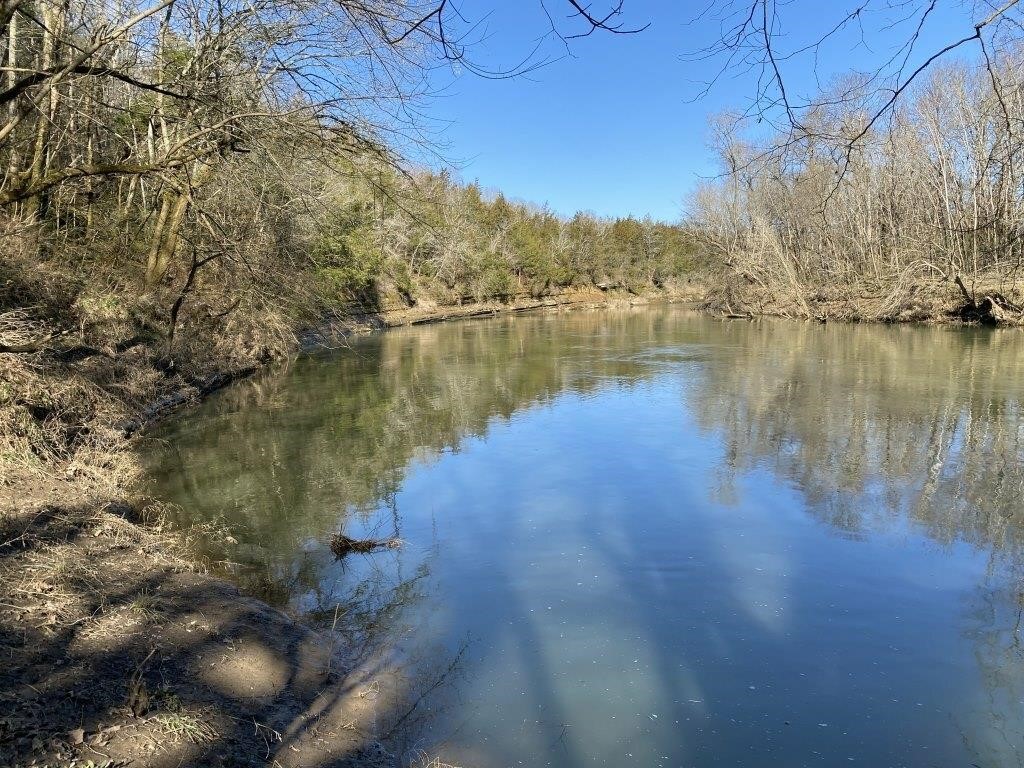 7.13+- Acres, Duck River Frontage, Woodland