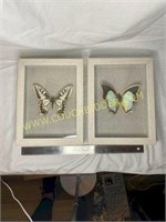Butterfly Shadow Boxes - set of 2