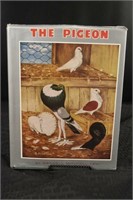 The Pigeon By Levi Publishing Company