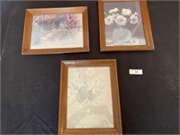 Langston, Jopinas Framed Floral Prints