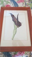 Print of a Purple Flower and Fly - Framed