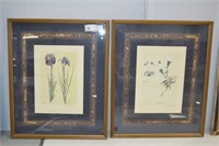2pcs J Ligozzi Framed Flower Prints