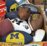 University of Michigan Football Lot