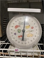 American Family Food Scale