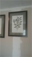 Pair of nice framed Botanical prints
