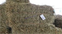 31 1st Alfalfa Grass