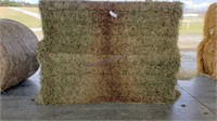 2 Large Squares 2nd Alfalfa Grass