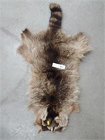 Tan Raccoon Pelt