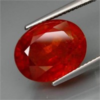 Natural BIG  Spessartite Garnet 12.35 cts -no Trea