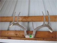 ANTLER - BOLTED BRING HELP TO REMOVE
