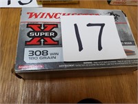 Winchester 308 Ammo - 9 Rounds