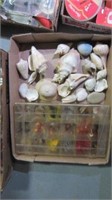 FISHING BOX AND SHELLS