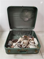 hardcover suitcase full of assorted shells