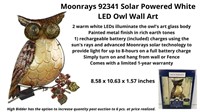 Moonrays Solar Powered White LED Owl Wall Art