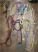 Halter & Leads: 8pc lot