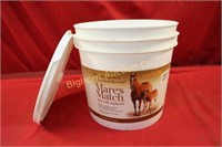 Mares Match Foal Milk Replacer