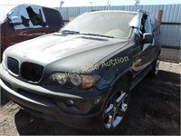 2005 BMW X5 5UXFA13525LY21321 Green