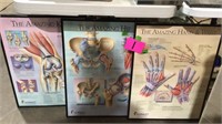 Human anatomy posters