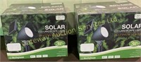 2 x Boxes Solar LED Landscape Lights