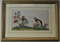 VERY FINE ANTIQUE CHINESE PAINTING OF BIRDS / SILK