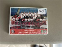 1996-97 GREYHOUND HOCKEY CARDS