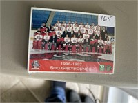 1996-97 GREYHOUND HOCKEY CARDS