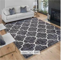 $300 Area Rug 9.5ft x 6.5ft Bali Plush shag rug