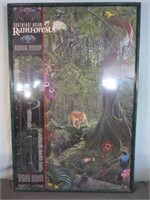 *Southeast Asian Rain Forest Poster Framed 36x24