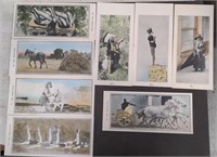 Lot of 8 vintage hand-colored photos