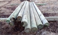 (12) 6"x10' RD. TREATED POSTS