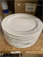 10-9.5 Inch Dinner Plates