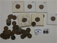 (48) Various Indian Head Pennies