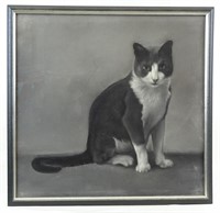 Pastel Drawing of a Cat