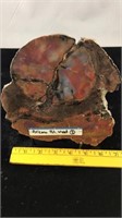Arizona Petrified Wood slab