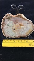 Madagascar Petrified Wood slab