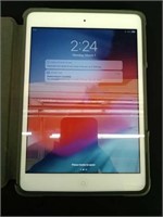Apple iPad Mini II with Case