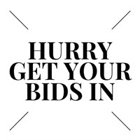GET YOUR BIDS IN - AUCTION ENDING